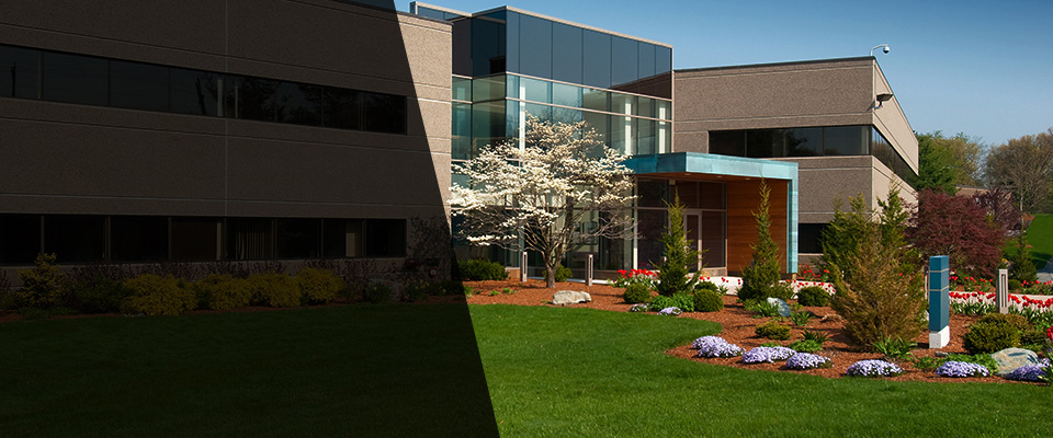 Fernandina Beach Landscapers