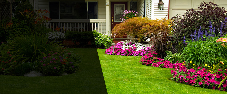 Fernandina Beach Landscapers