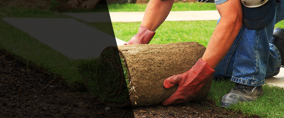 Fernandina Beach Landscapers